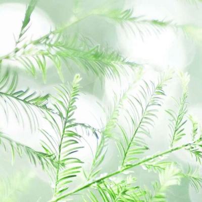 九游暗黑传奇手游下载